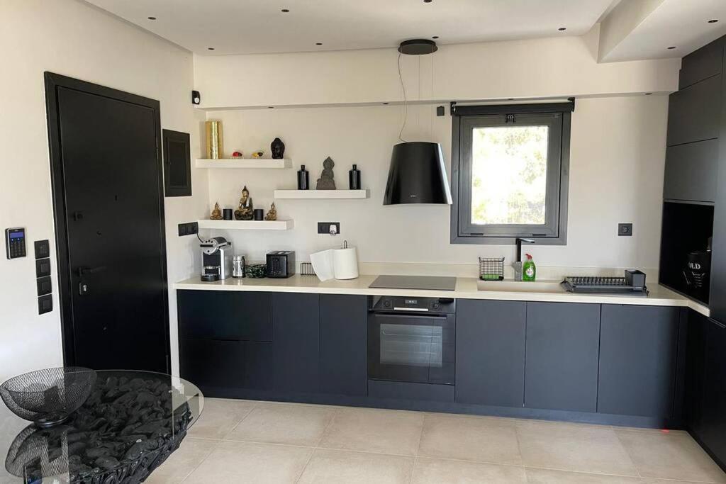 Kalivia Thorikou Lagonisi Luxury Appartment By The Sea 1 المظهر الخارجي الصورة